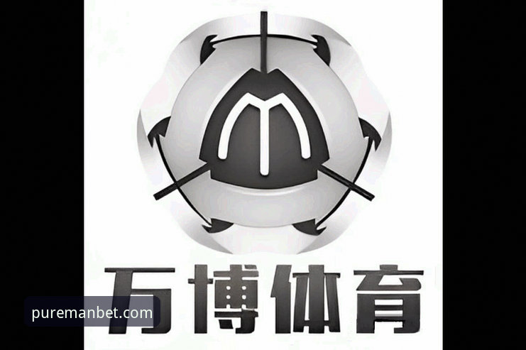 新万博娱乐 万博体育平台纯净版实用指南:解决卡顿与登录问题的必备知识